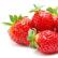Business of growing strawberries all year round, costs and profitability