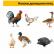 Homework for parents of the middle group on the topics “Wild Animals”, “Domestic Animals”, “Domestic Birds Poultry speech therapist assignments